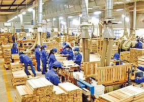 Sylviculture : près de 8 milliards de dollars d'exportations en 2017 ảnh 1 Sylviculture : près de 8 milliards de dollars d'exportations en 2017 ảnh 1