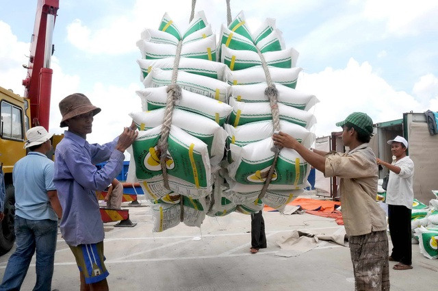 Les exportations de riz vers les Philippines en forte hausse en 2019 ảnh 1 Les exportations de riz vers les Philippines en forte hausse en 2019 ảnh 1