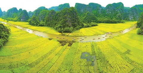 Ninh Binh ambitionne de devenir une destination majeure ảnh 1 Ninh Binh ambitionne de devenir une destination majeure ảnh 1