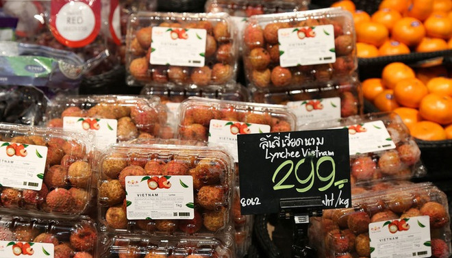 Les exportations vietnamiennes en Thaïlande en hausse ảnh 1 Les exportations vietnamiennes en Thaïlande en hausse ảnh 1