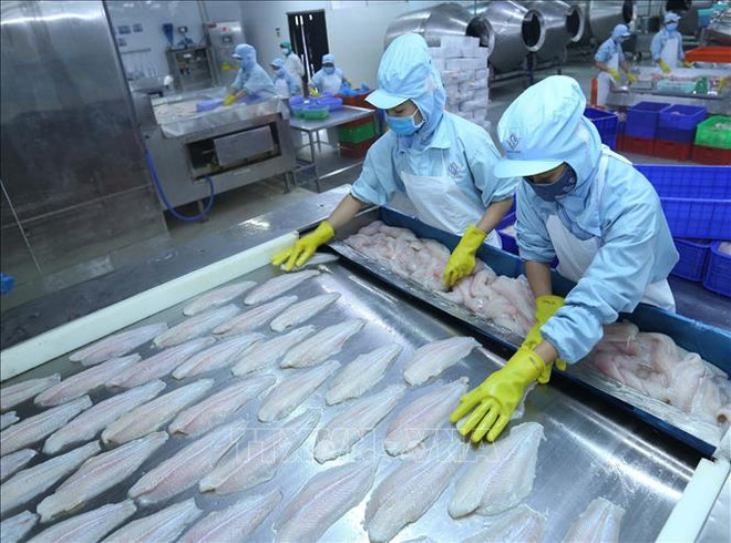 Exportations de produits agricoles, sylvicoles et aquatiques en hausse de 1,2% en cinq mois ảnh 1 Exportations de produits agricoles, sylvicoles et aquatiques en hausse de 1,2% en cinq mois ảnh 1