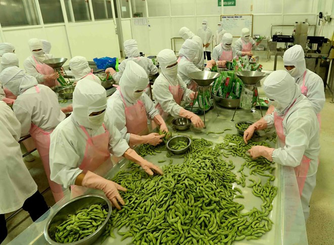 Les exportations d’An Giang en forte hausse en quatre mois ảnh 1 Les exportations d’An Giang en forte hausse en quatre mois ảnh 1