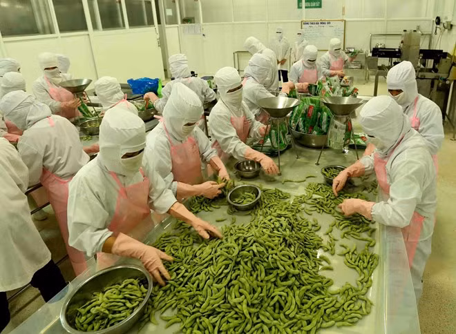 Les exportations d’An Giang en forte hausse en quatre mois ảnh 1