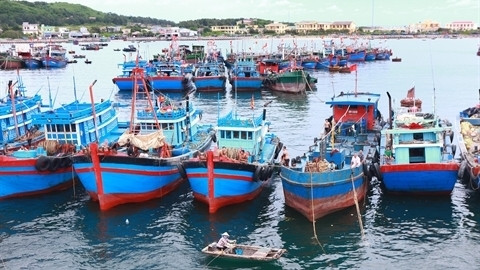 Bach Long Vi : Maintenir la paix et développer l’économie maritime ảnh 1 Bach Long Vi : Maintenir la paix et développer l’économie maritime ảnh 1