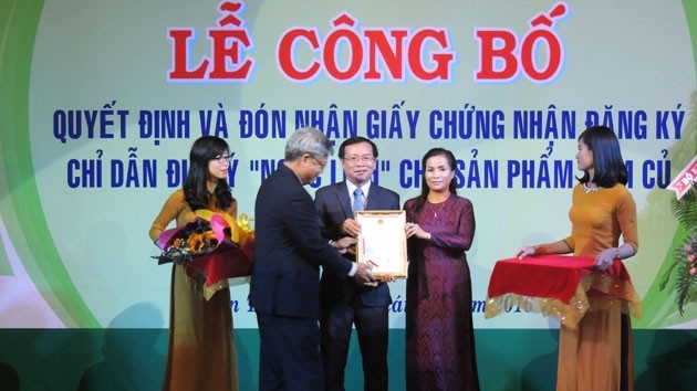Kon Tum : certificat d’indication géographique pour le ginseng de Ngoc Linh ảnh 1 Kon Tum : certificat d’indication géographique pour le ginseng de Ngoc Linh ảnh 1