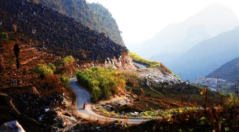 Un film sur le marché de l’amour de Khâu Vai disponible sur Youtube ảnh 2