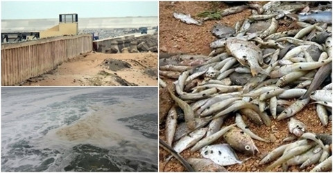 Formosa a achevé 32 des 58 ouvrages de protection de l’environnement ảnh 2