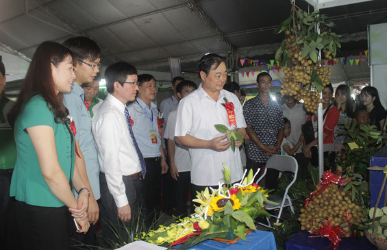 Ouverture de la Foire de l'agriculture et du commerce du Nord-Est 2016 ảnh 1 Ouverture de la Foire de l'agriculture et du commerce du Nord-Est 2016 ảnh 1
