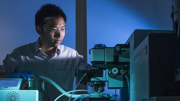 Un scientifique vietnamien en Australie à l’honneur ảnh 1 Un scientifique vietnamien en Australie à l’honneur ảnh 1