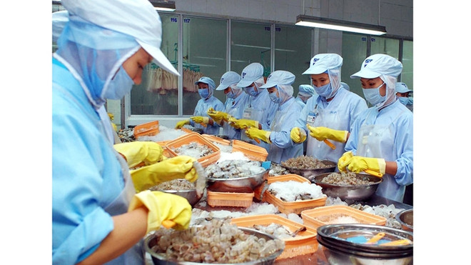L’UE, premier marché importateur de crevettes vietnamiennes ảnh 1