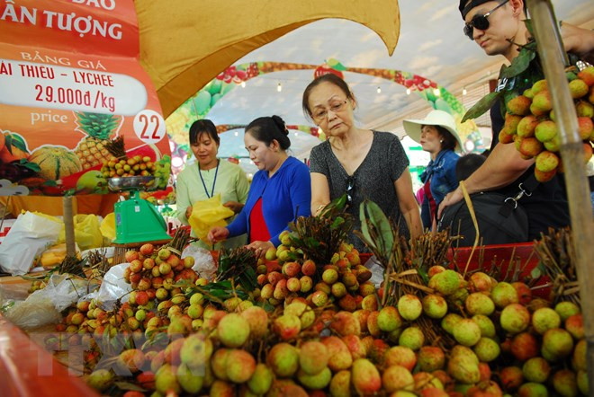 Le Festival des fruits du Nam Bô 2018 prévu en juin ảnh 1