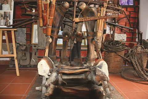 Un policier retraité à la recherche de trésors perdus au Tây Nguyên ảnh 1