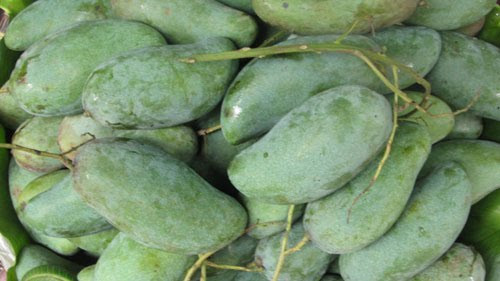 Fruits et légumes: la Thaïlande demeure le premier fournisseur du Vietnam ảnh 1 Fruits et légumes: la Thaïlande demeure le premier fournisseur du Vietnam ảnh 1