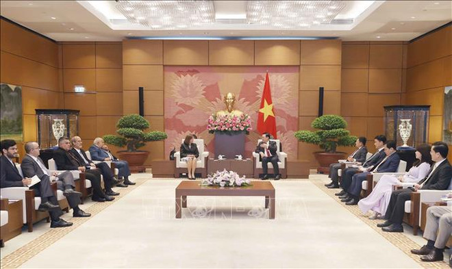 Le président de l'Assemblée nationale reçoit la vice-présidente de l'organe législatif de Cuba ảnh 2 Le président de l'Assemblée nationale reçoit la vice-présidente de l'organe législatif de Cuba ảnh 2