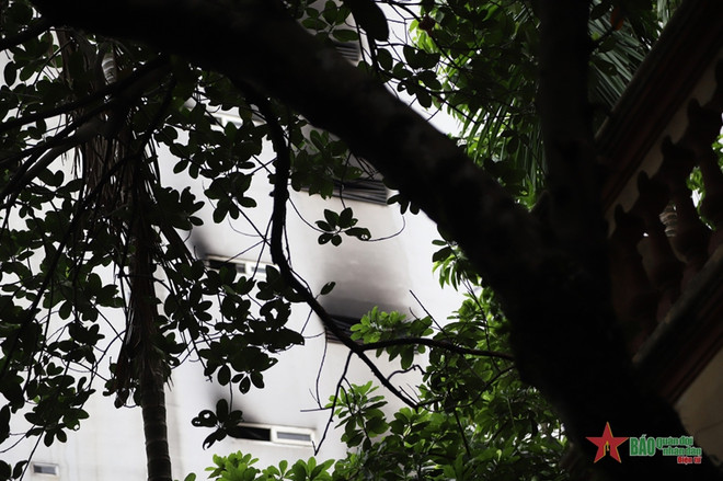 Le SG Nguyen Phu Trong envoie une lettre de sympathie suite à l'incendie survenu à Hanoï ảnh 1 Le SG Nguyen Phu Trong envoie une lettre de sympathie suite à l'incendie survenu à Hanoï ảnh 1