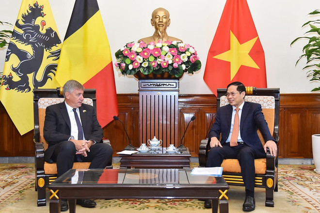 Le Vietnam et la Belgique renforcent leur coopération intégrale ảnh 1 Le Vietnam et la Belgique renforcent leur coopération intégrale ảnh 1