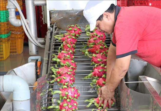 Pour exporter davantage des produits agricoles vietnamiens vers le Royaume-Uni ảnh 1 Pour exporter davantage des produits agricoles vietnamiens vers le Royaume-Uni ảnh 1