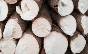 Hausse des exportations nationales de manioc et produits dérivés ảnh 1