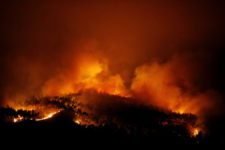 Feux de forêt : Message de condoléances au Portugal ảnh 1 Feux de forêt : Message de condoléances au Portugal ảnh 1