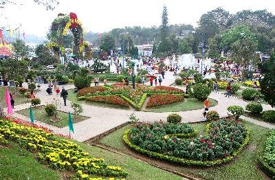 Les nouveautés attendues au Festival floral de Dà Lat 2017 ảnh 2 Les nouveautés attendues au Festival floral de Dà Lat 2017 ảnh 2
