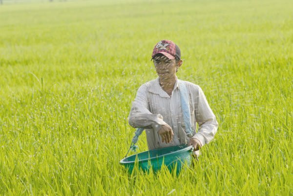 La Chine, premier fournisseur d’engrais du Vietnam ảnh 1 La Chine, premier fournisseur d’engrais du Vietnam ảnh 1