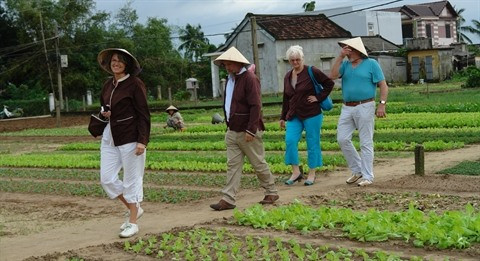 Le potentiel du tourisme agricole ảnh 1 Le potentiel du tourisme agricole ảnh 1