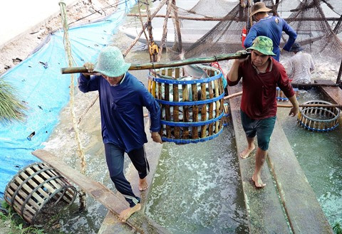 Des conditions favorables pour développer l’élevage aquatique à Kiên Tuong ảnh 1 Des conditions favorables pour développer l’élevage aquatique à Kiên Tuong ảnh 1