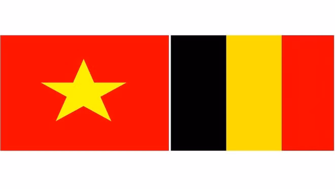 Célébration de la 185e Fête nationale de la Belgique ảnh 1