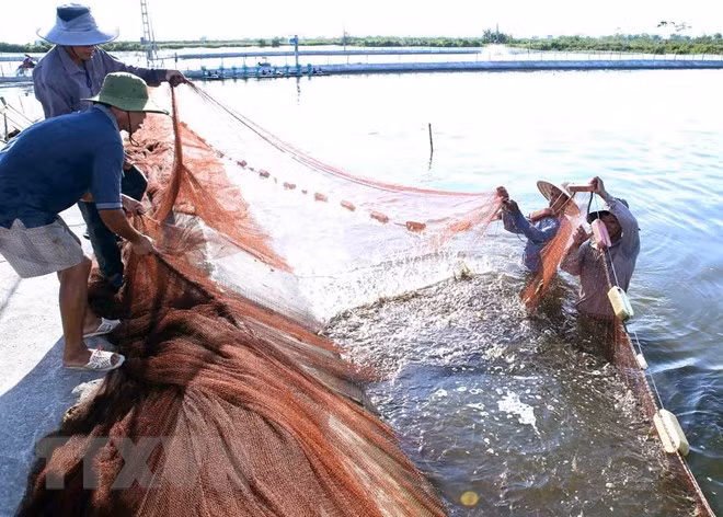 Nouvelle ruralité : le 50e district répond aux critères ảnh 1