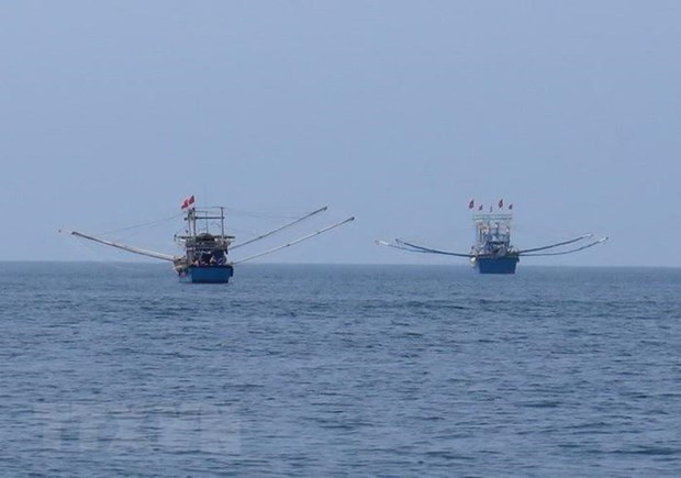 Le Vietnam s'oppose à l'interdiction de pêche en mer Orientale par la Chine ảnh 1