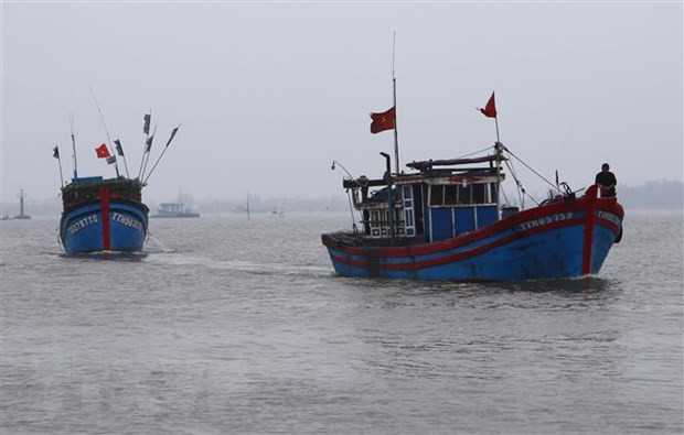 Le Vietnam préoccupé par la saisie et la destruction de bateaux de pêche par la partie indonésienne ảnh 1 Le Vietnam préoccupé par la saisie et la destruction de bateaux de pêche par la partie indonésienne ảnh 1
