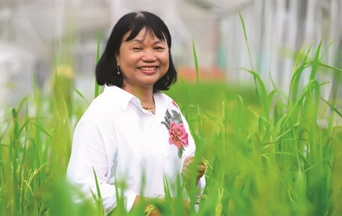 Une scientifique porteuse d’espoir de faire pousser le riz dans l’eau salée ảnh 1 Une scientifique porteuse d’espoir de faire pousser le riz dans l’eau salée ảnh 1