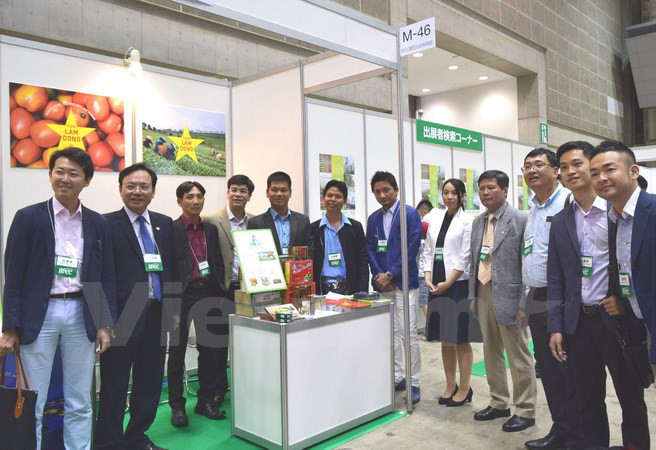 Sept entreprises de Lâm Dông promeuvent leurs produits au Japon ảnh 1 Sept entreprises de Lâm Dông promeuvent leurs produits au Japon ảnh 1