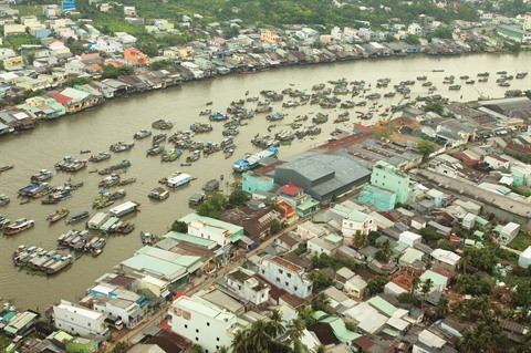 La Semaine de la sécurité alimentaire attendue en août à Cân Tho ảnh 1 La Semaine de la sécurité alimentaire attendue en août à Cân Tho ảnh 1