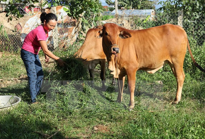 Promulgation de l'indice de pauvreté multicritère pour la période 2016-2020 ảnh 1 Promulgation de l'indice de pauvreté multicritère pour la période 2016-2020 ảnh 1
