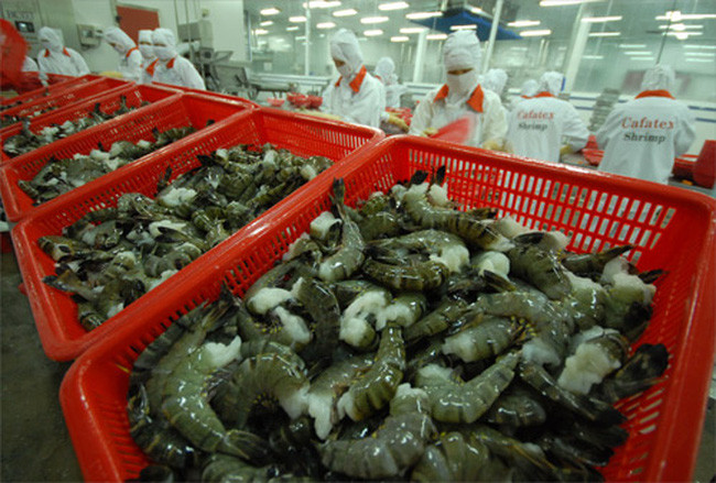 De nouvelles opportunités pour les exportations nationales de crevettes vers l’UE ảnh 1