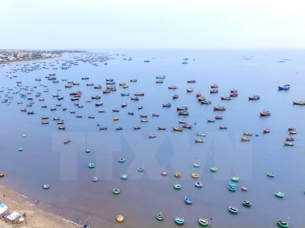Vietnam-Indonésie : coopération dans les affaires maritimes et la pêche ảnh 1 Vietnam-Indonésie : coopération dans les affaires maritimes et la pêche ảnh 1