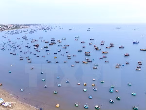 Vietnam-Indonésie : coopération dans les affaires maritimes et la pêche ảnh 1