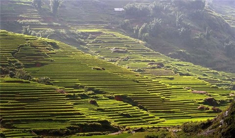 Visite au village de Ta Phin, à Sa Pa ảnh 1