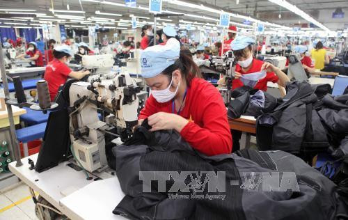 Textile-habillement : May 10 vise un chiffre d’affaires de 3.100 milliards de dôngs ảnh 1