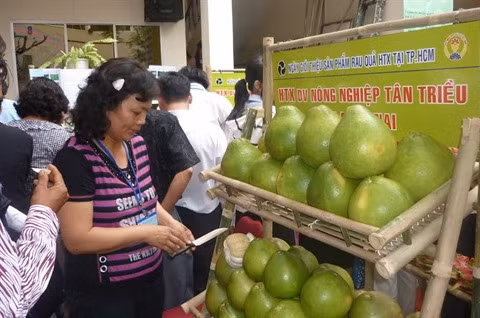 Journée des produits issus des coopératives du Sud ảnh 2