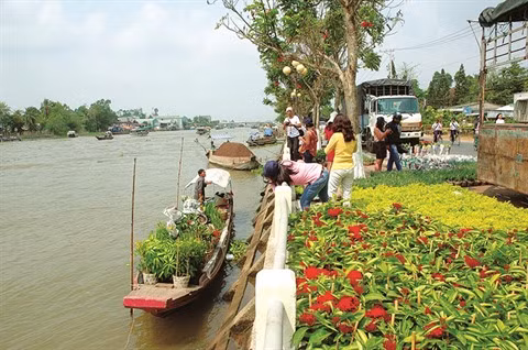 Des circuits pré-Nouvel An lunaire hauts en couleurs ảnh 2
