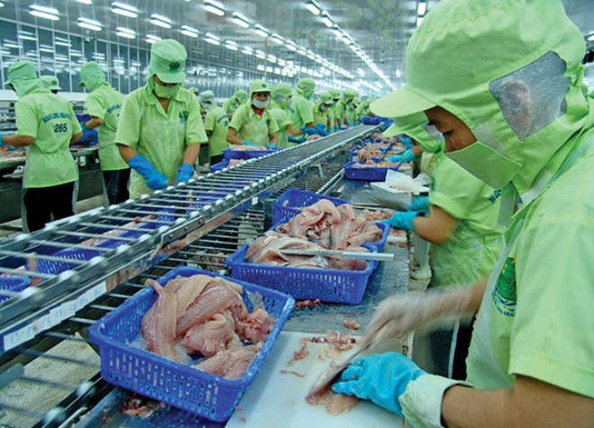 La Chine, marché cible pour les pangasius du Vietnam en 2017 ảnh 1