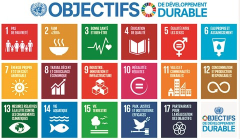 Développement durable : de l’engagement à l’action ảnh 1 Développement durable : de l’engagement à l’action ảnh 1