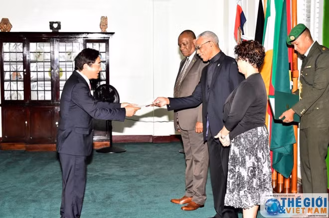 Le Vietnam souhaite intensifier ses relations avec le Guyana ảnh 1