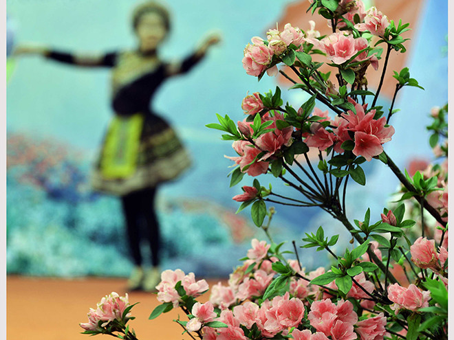 La fête des fleurs de rhododendron à Sa Pa ảnh 3 La fête des fleurs de rhododendron à Sa Pa ảnh 3