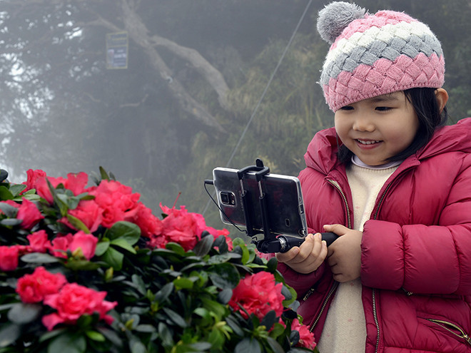La fête des fleurs de rhododendron à Sa Pa ảnh 1 La fête des fleurs de rhododendron à Sa Pa ảnh 1