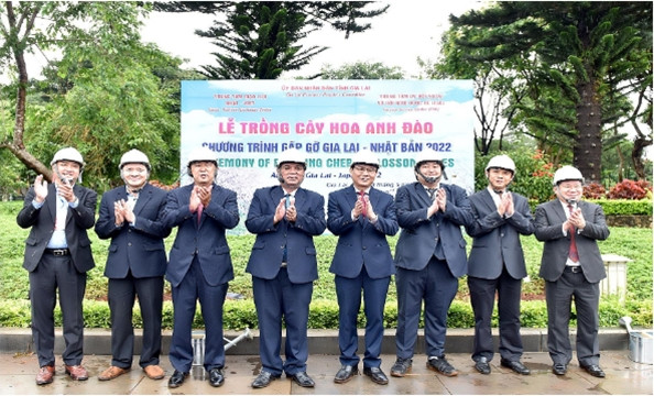Le Japon offre 24 cerisiers à la province de Gia Lai ảnh 1 Le Japon offre 24 cerisiers à la province de Gia Lai ảnh 1