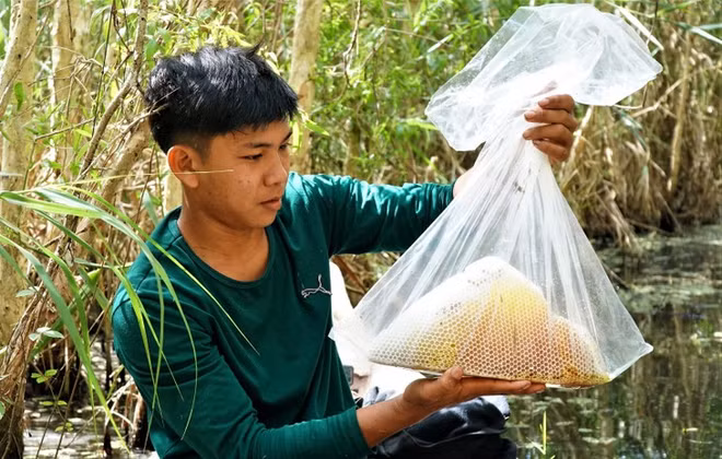 Les jeunes apiculteurs d’U Minh Ha à l’heure de la révolution 4.0 ảnh 1