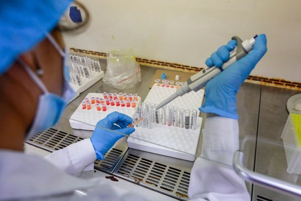 COVID-19 : le Vietnam enregistre moins de 900 nouvelles infections ce dimanche ảnh 1 COVID-19 : le Vietnam enregistre moins de 900 nouvelles infections ce dimanche ảnh 1